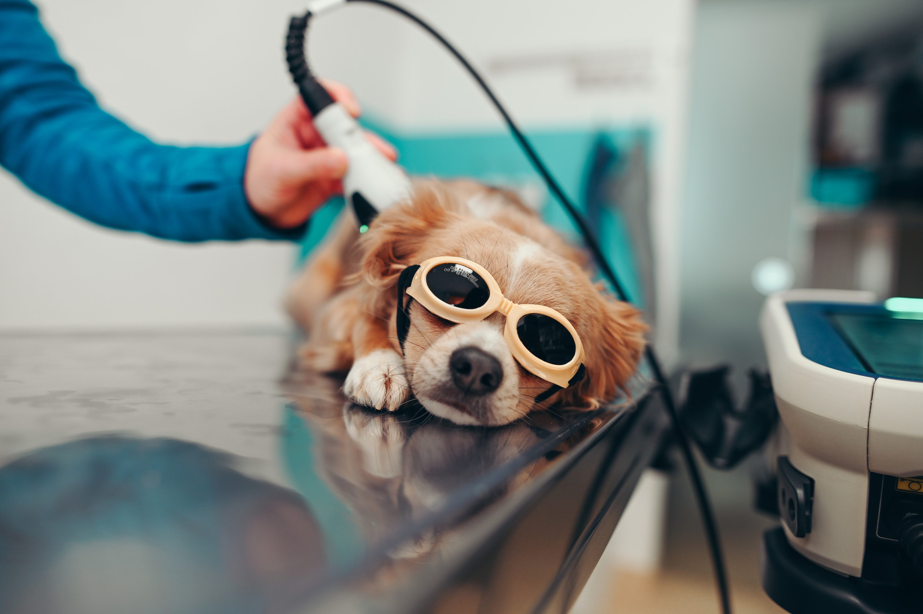 Laser-Therapie