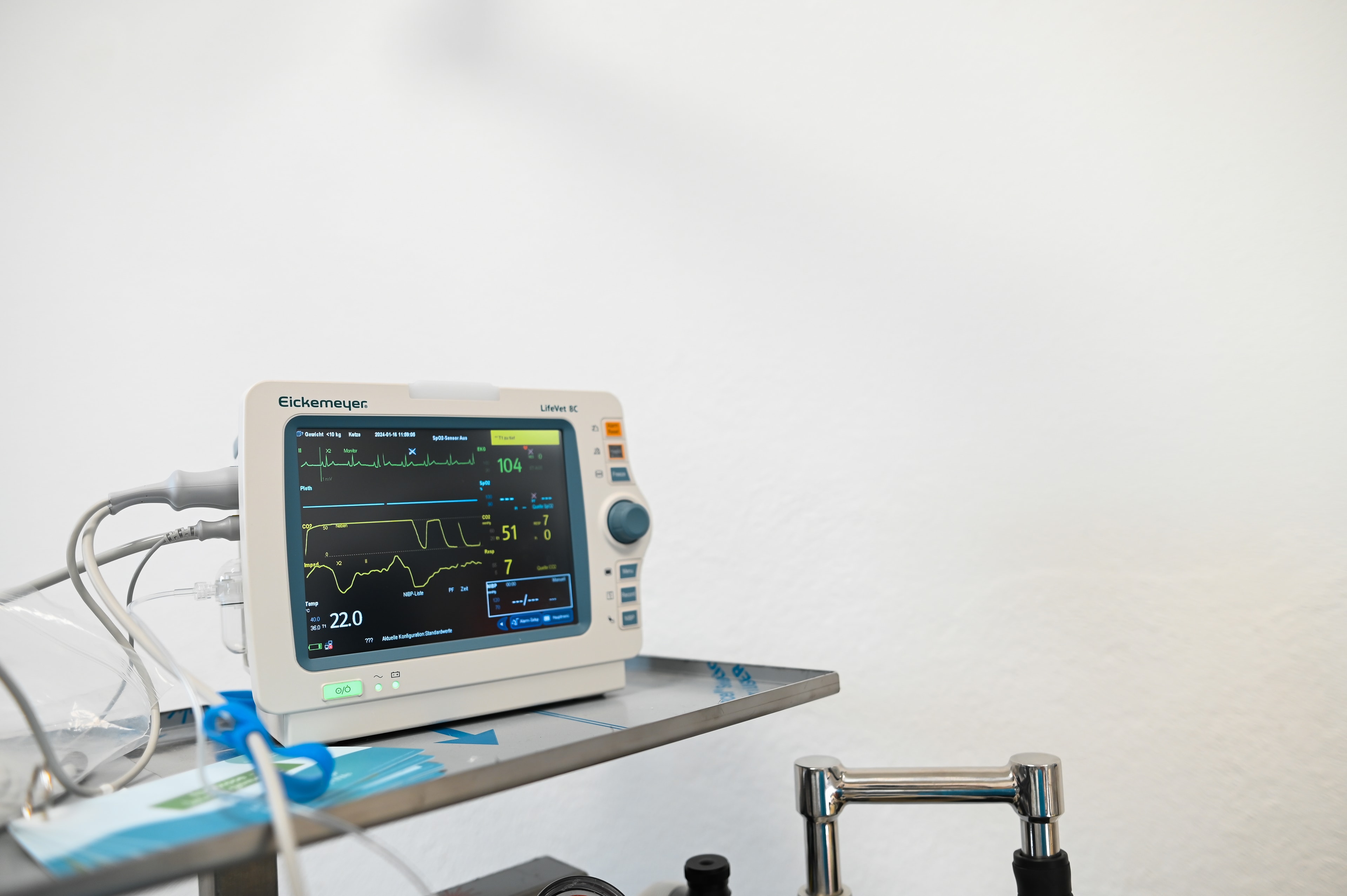 Kardiologie